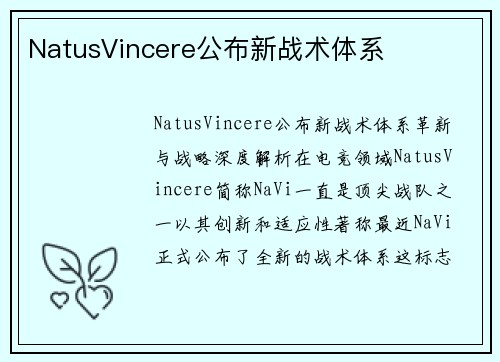 NatusVincere公布新战术体系